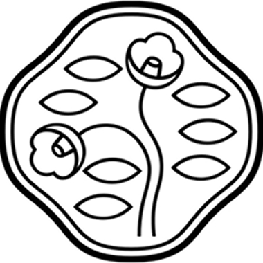 「SHISEIDO」とは