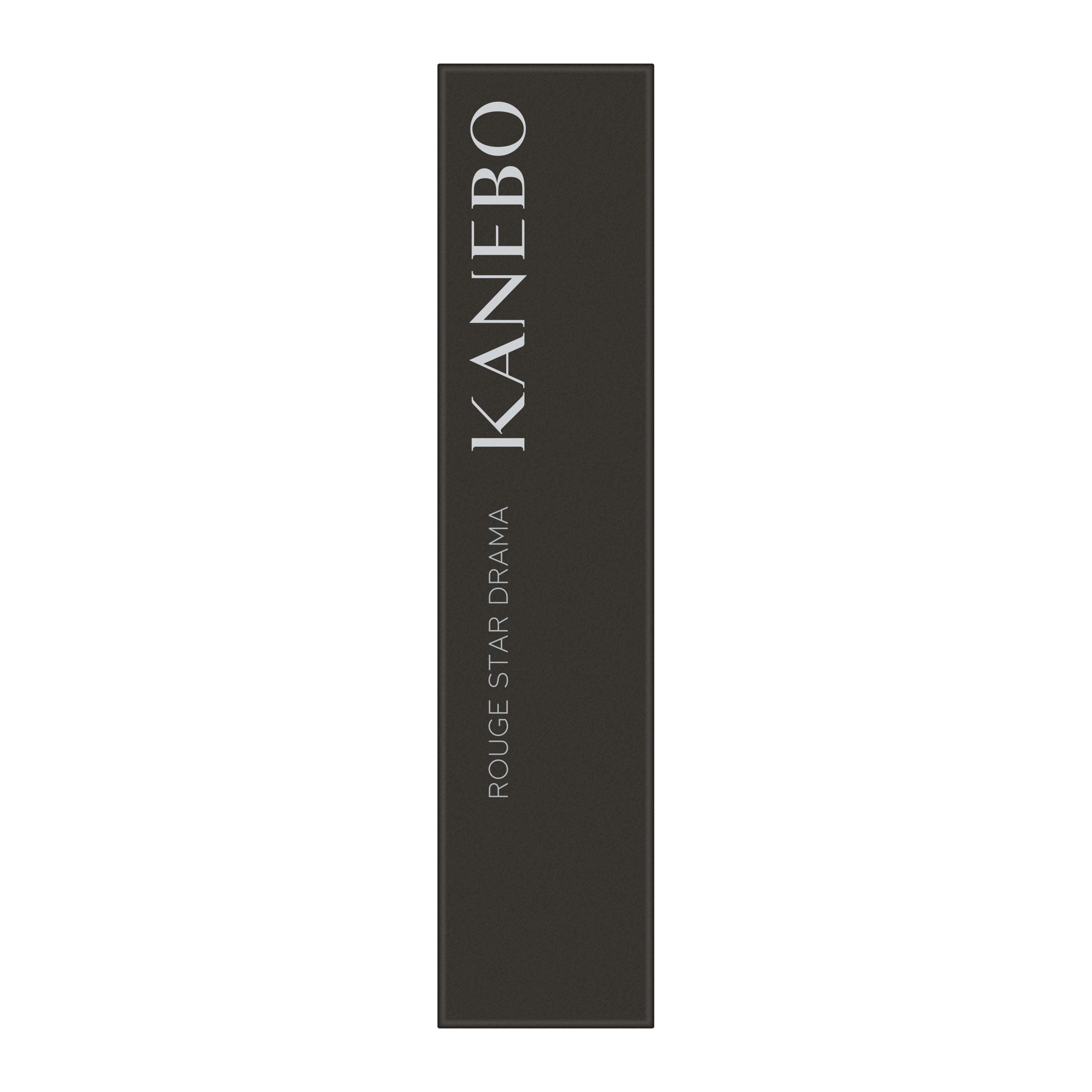 KANEBO　ルージュスタードラマ／D203　Red with Love image number 1