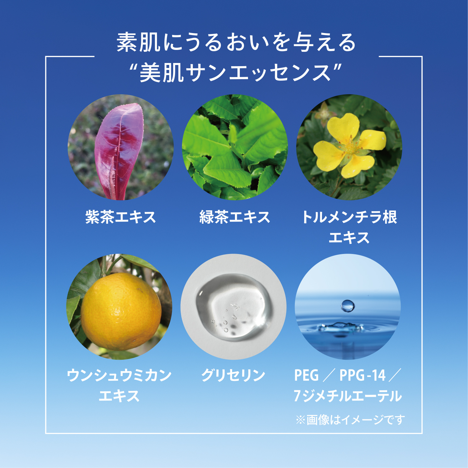 パーフェクトＵＶ　スキンケアミルク　ＮＡ image number 9