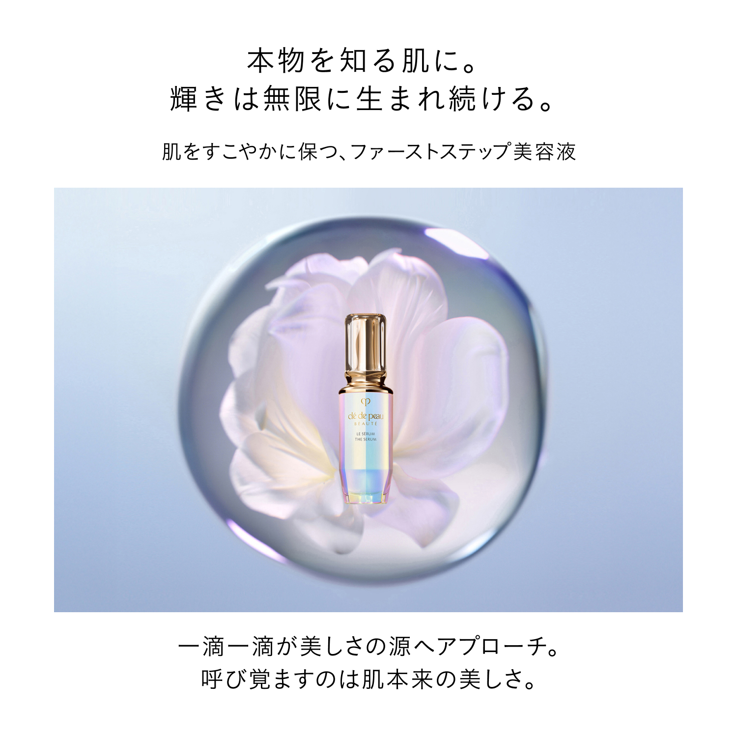 ローションキット（ローションエサンシエルＣ＋ル・セラムⅡ） image number 8