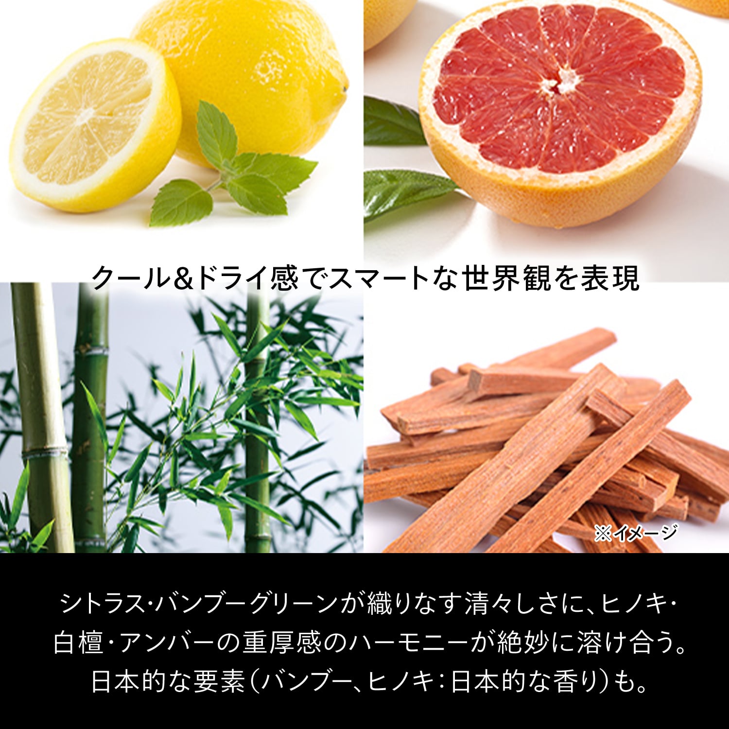 フェイス　クレンザー image number 8