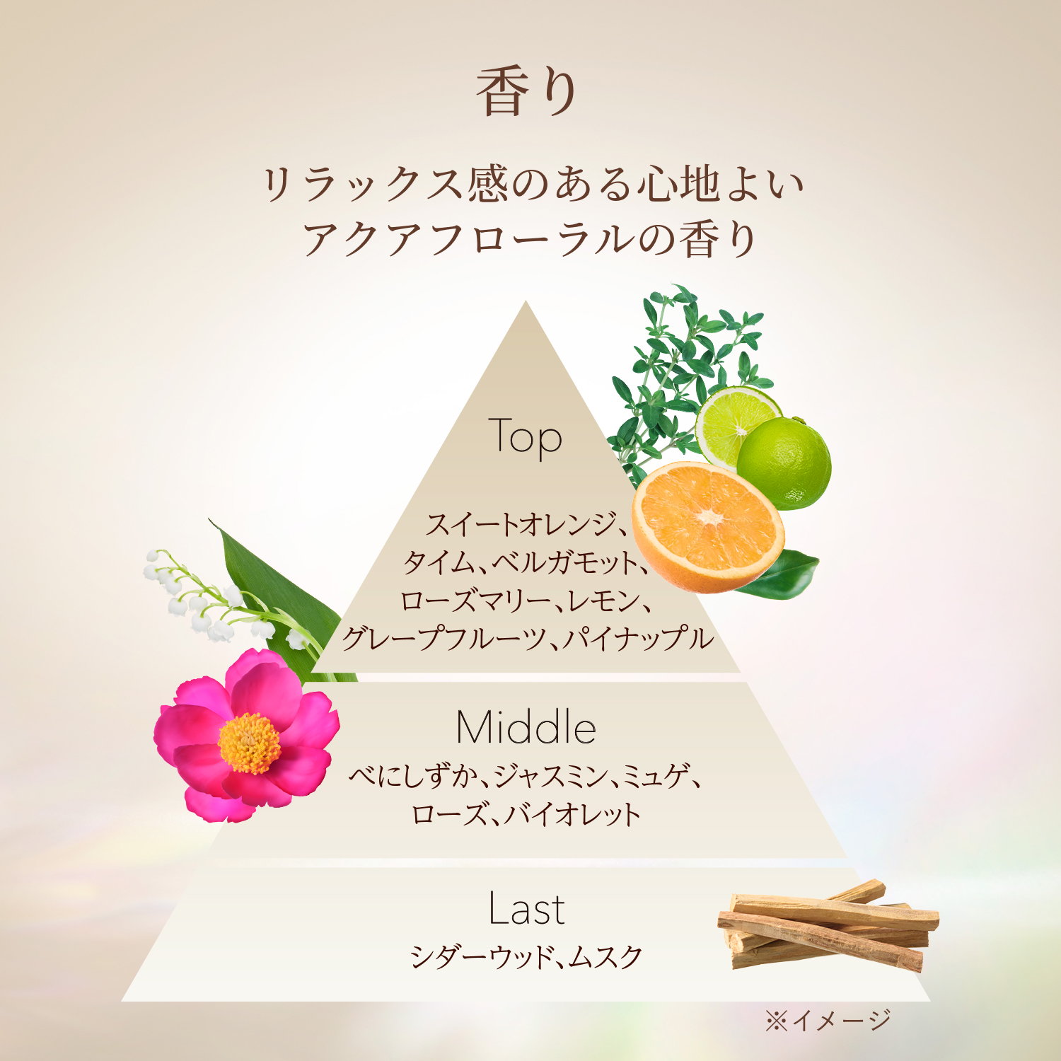 エリクシール シュペリエル　リフトモイスト　ローション　マスク級高保湿　ｃａ（医薬部外品） image number 11