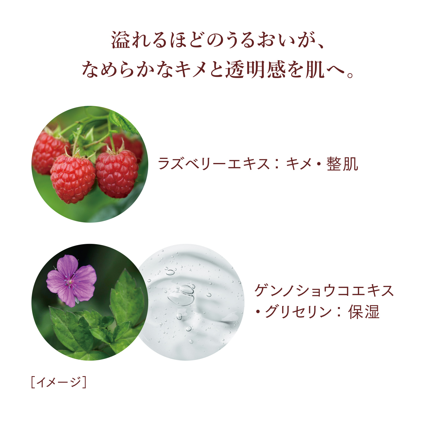エマルジョン　Ⅰ／するりとうるおい、さらりとなじむ乳液（医薬部外品） image number 6