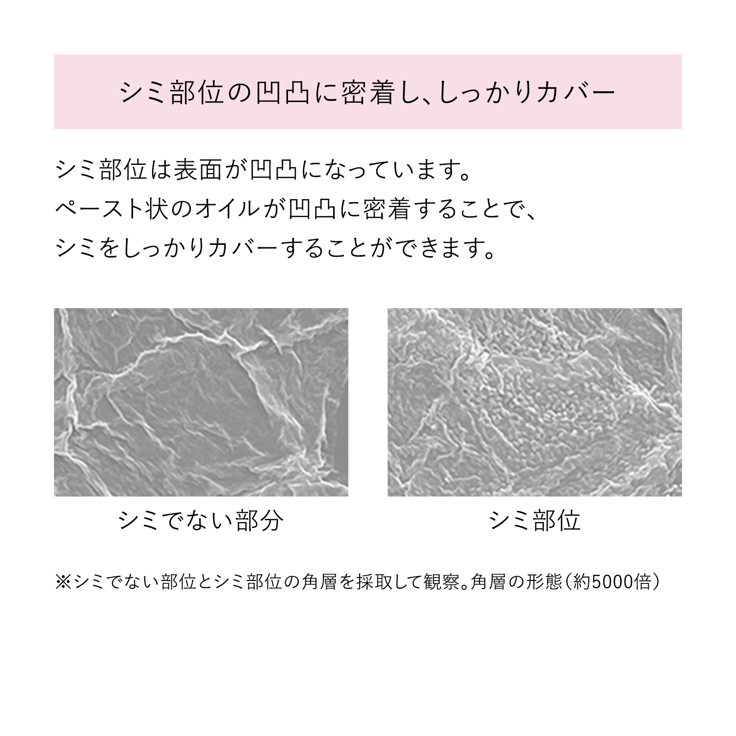 ＨＡＫＵ　薬用　美白美容液ファンデ／ライトベージュ（医薬部外品） image number 5