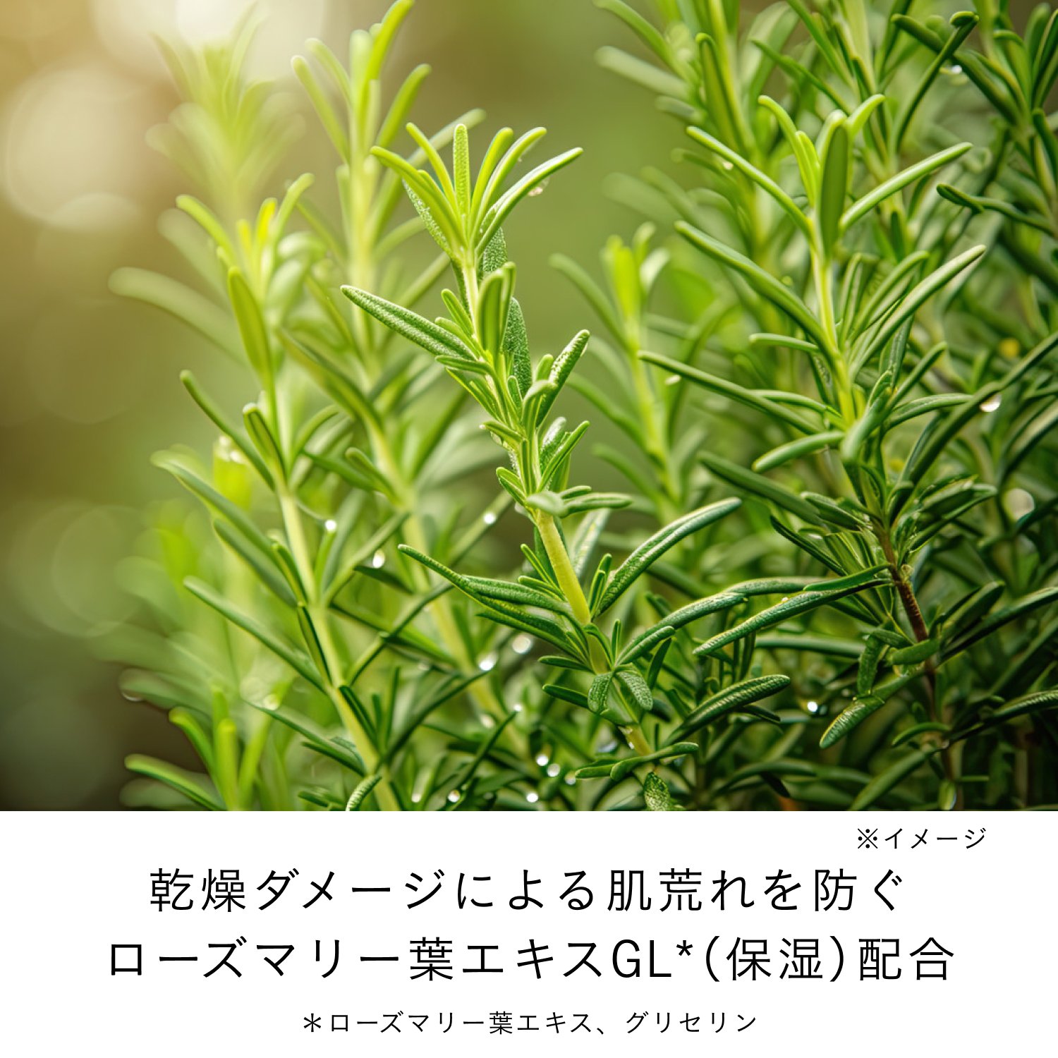 ローションエサンシエルＡ image number 6