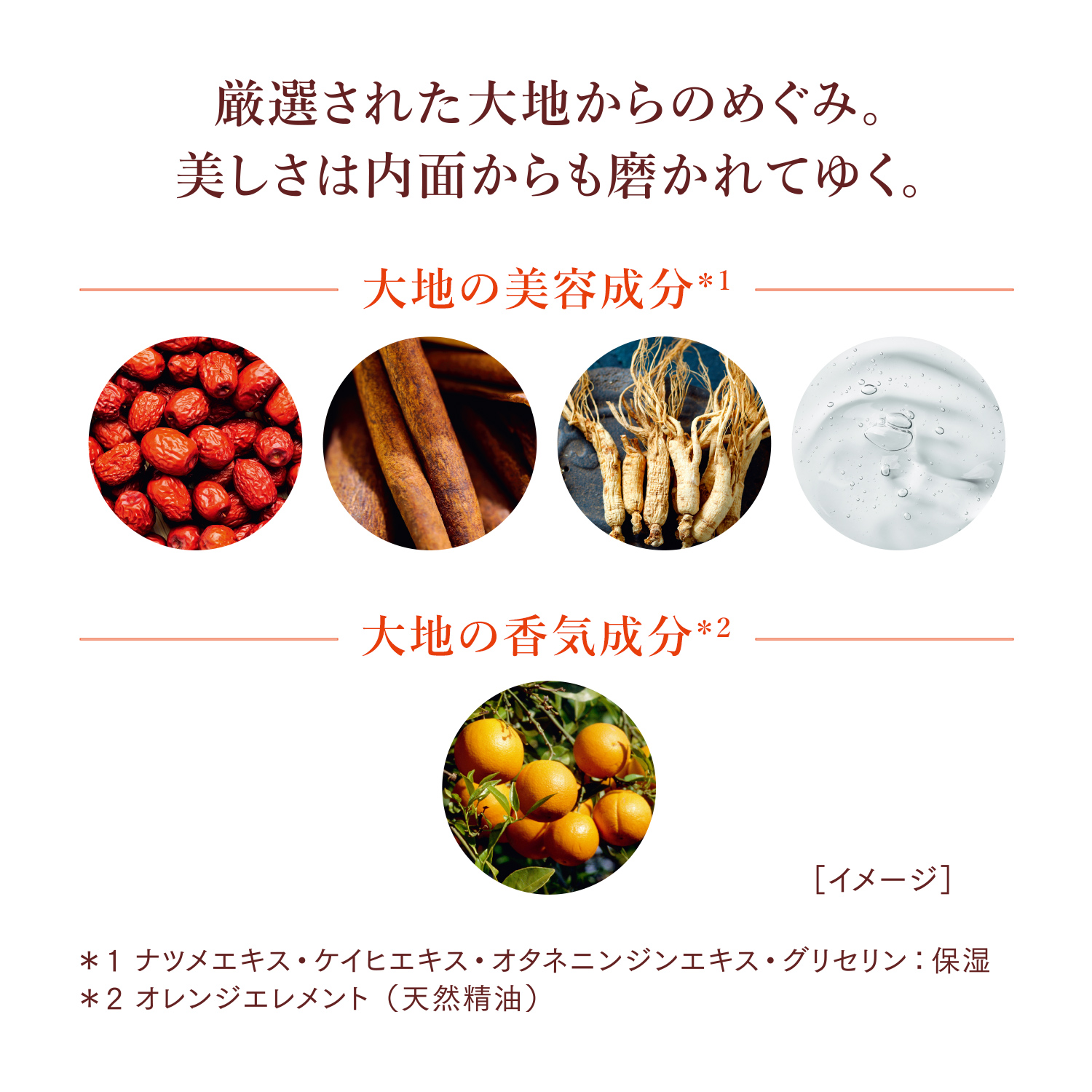ローション　Ⅲ／とろりと肌に絡み、うるおいの余韻を残す（医薬部外品） image number 3