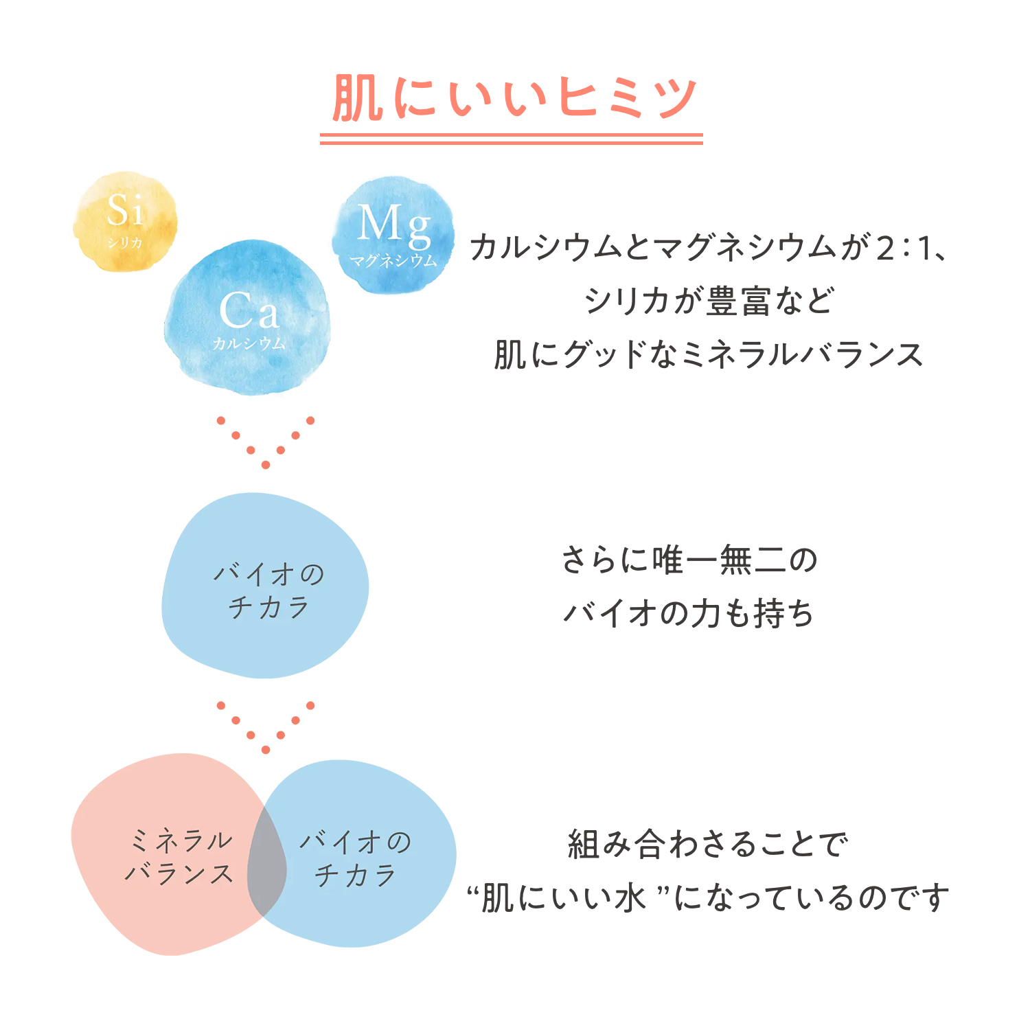 アベンヌ　ウオーター／50g image number 4