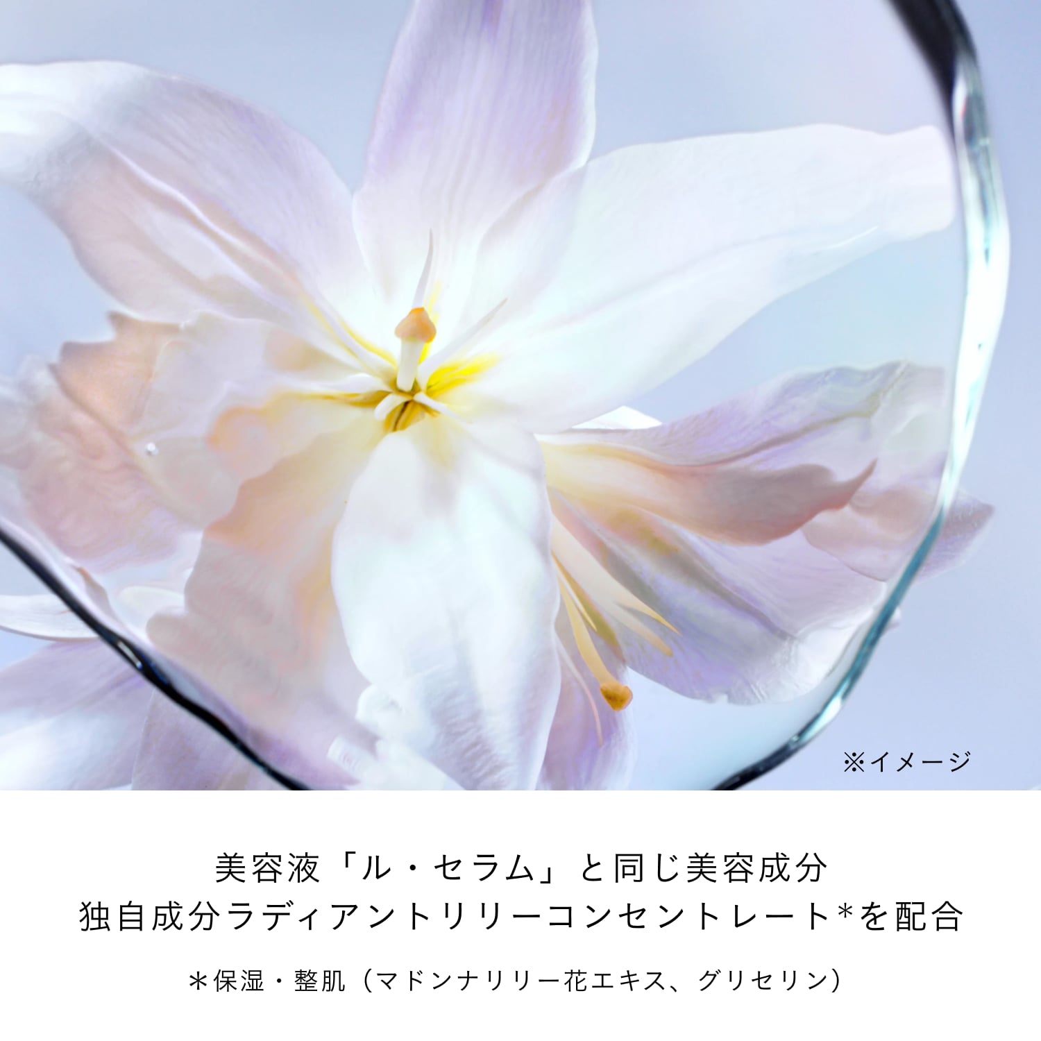 アンベリスールデクラ image number 4