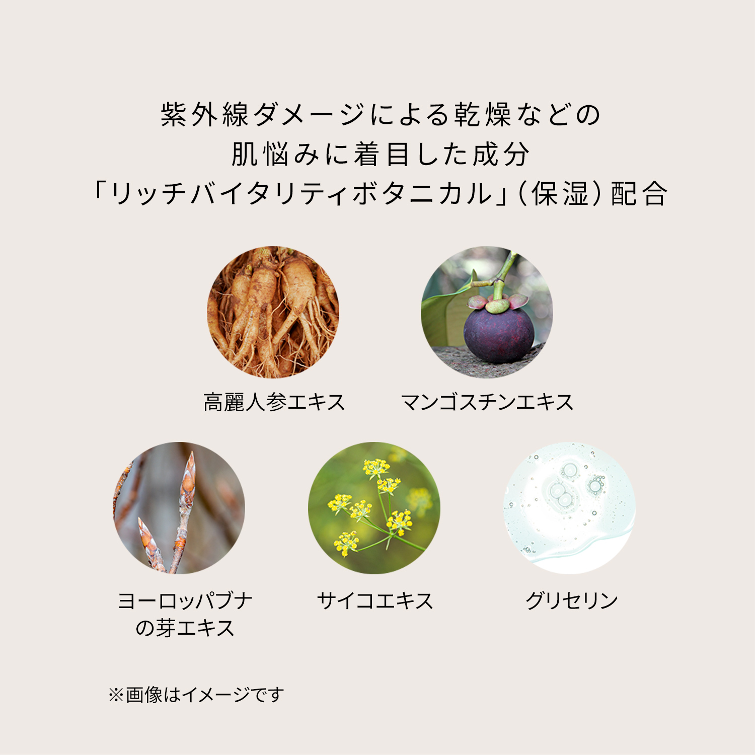 ＵＶケアキット（クレームＵＶ　ｎ　＆　プードルトランスパラントｎ　Ｍ（スモール）２ライトミディアム） image number 4