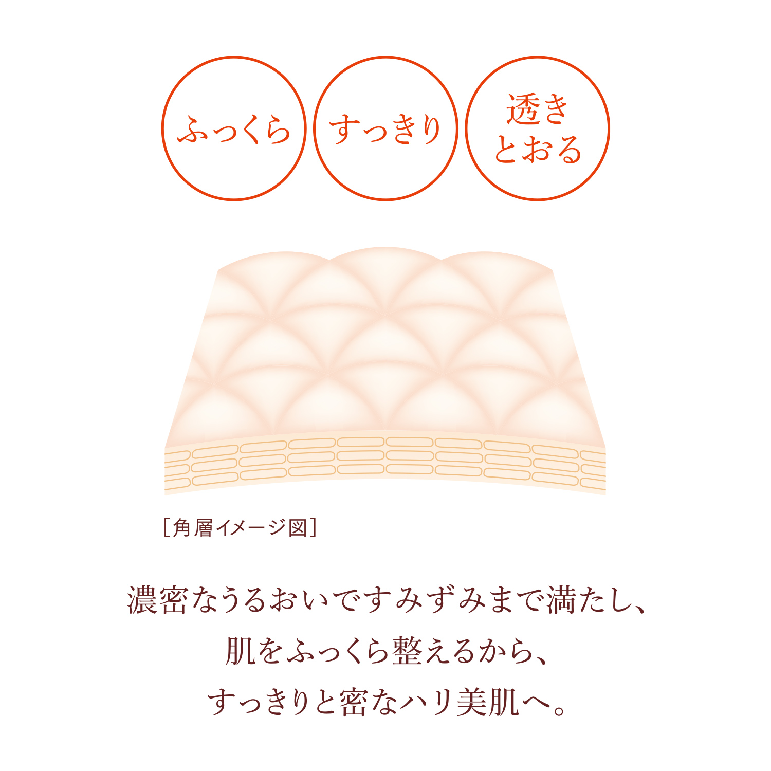 エマルジョンＥＸ　Ⅰ／するりとうるおい、さらりとなじんでハリ感（医薬部外品） image number 5
