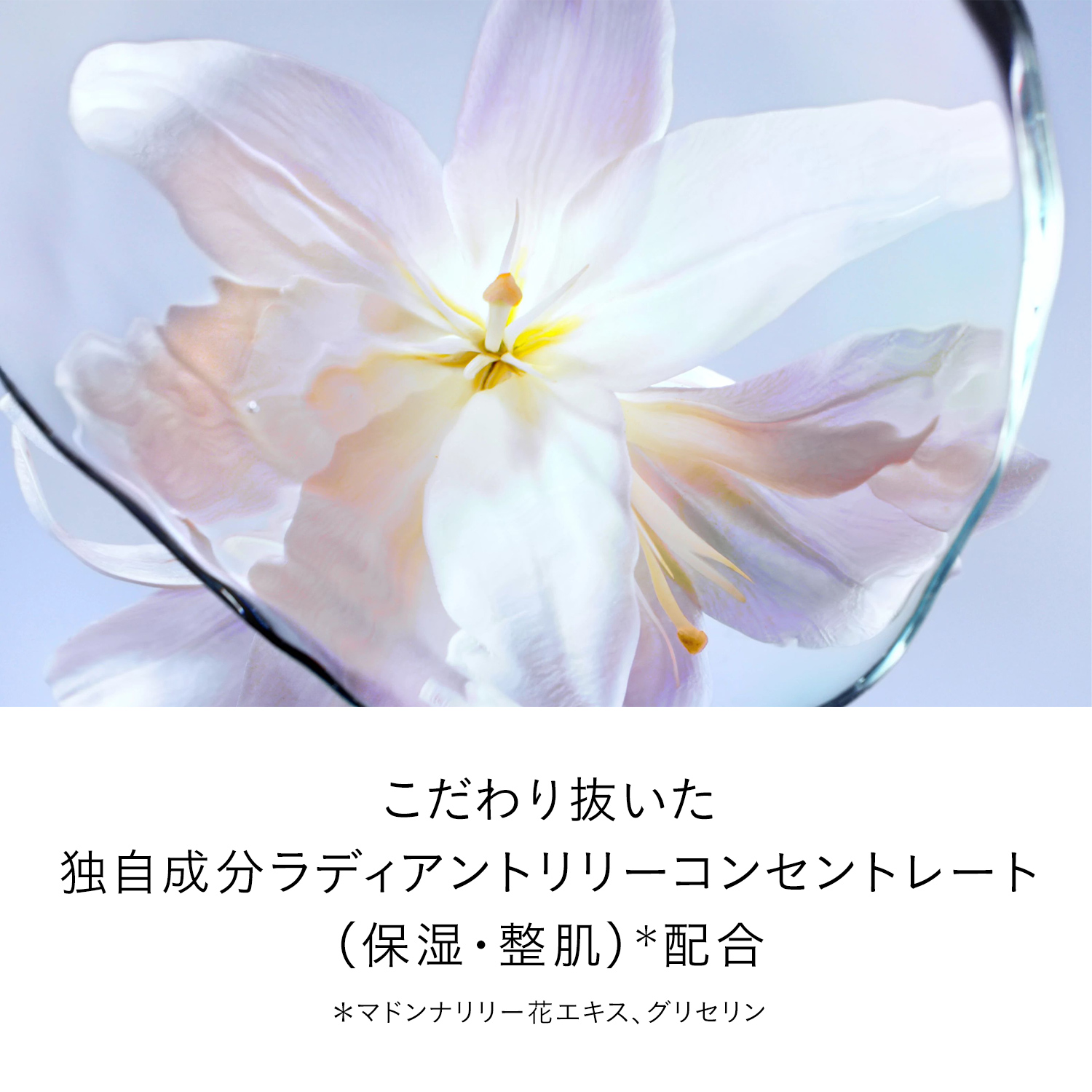 ル・セラムⅡ／ラージ image number 4