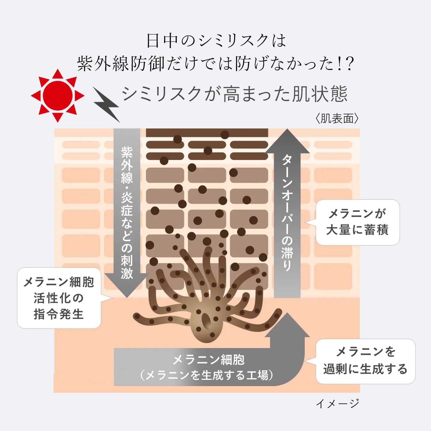 ＨＡＫＵ　デイブライトニングＵＶ（医薬部外品） image number 5