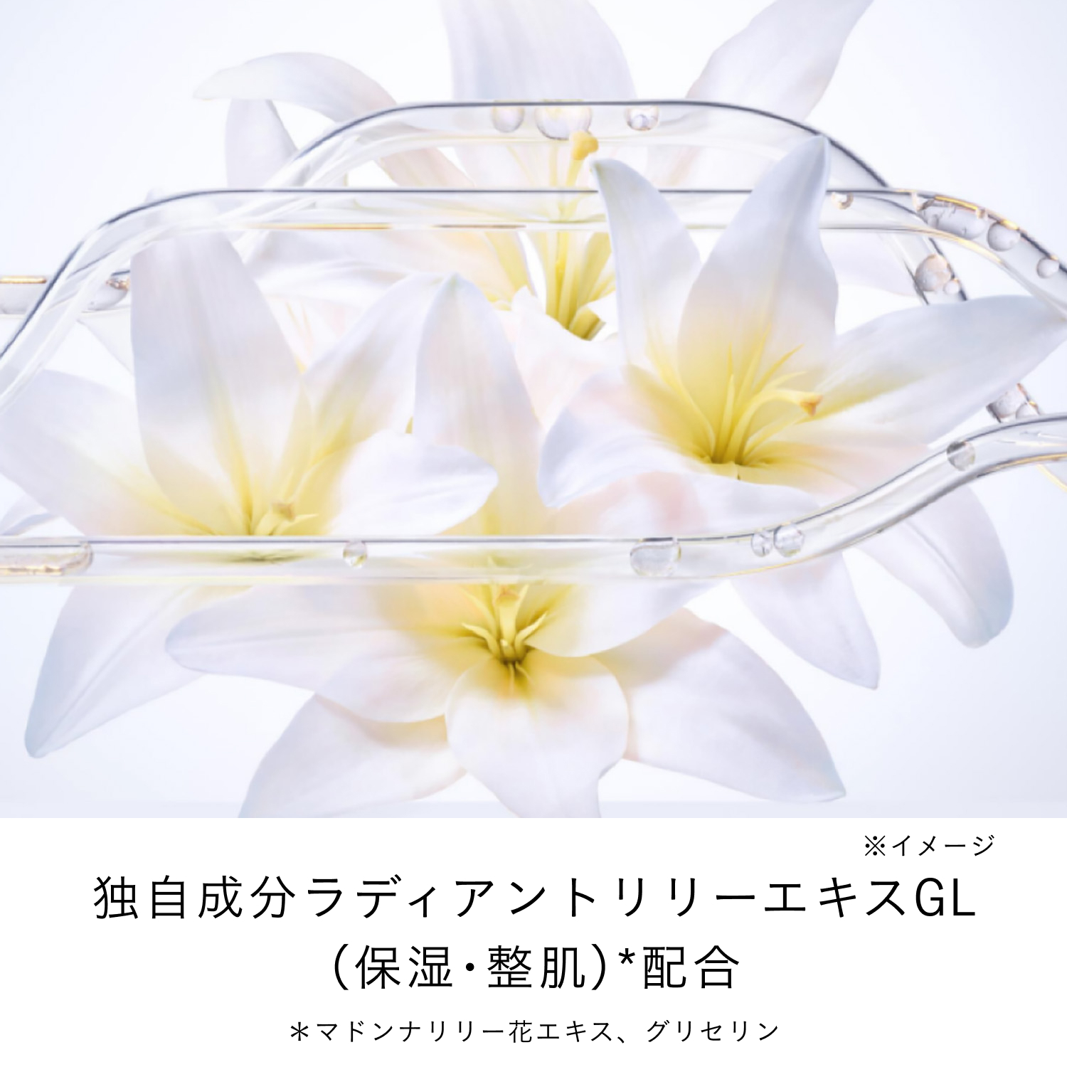 ローションキット（ローションエサンシエルＣ＋ル・セラムⅡ） image number 5