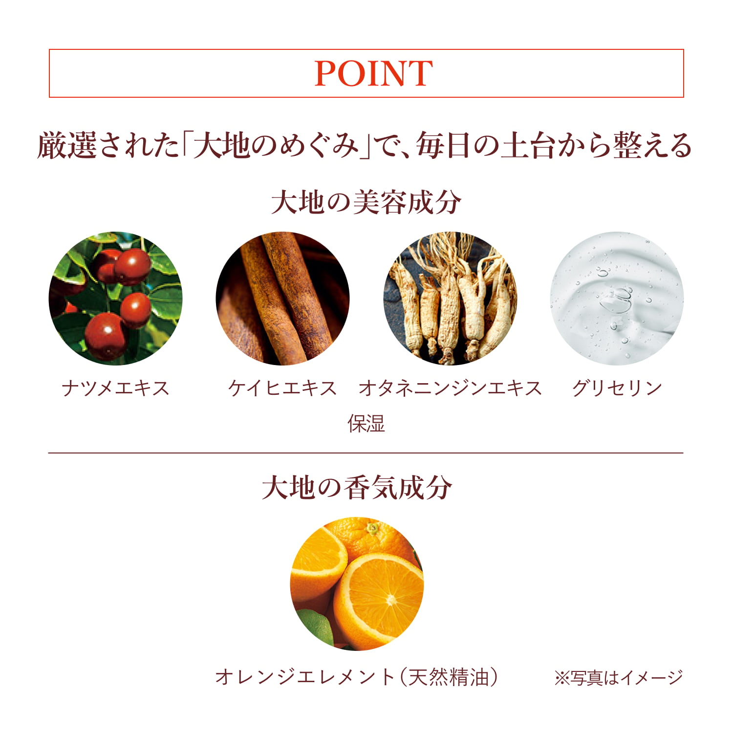 クレンジングフォーム image number 3