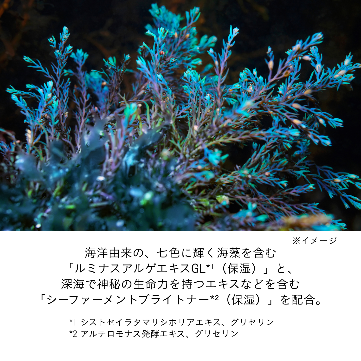 ソワンマスクエクラＳ Ⅱ image number 6