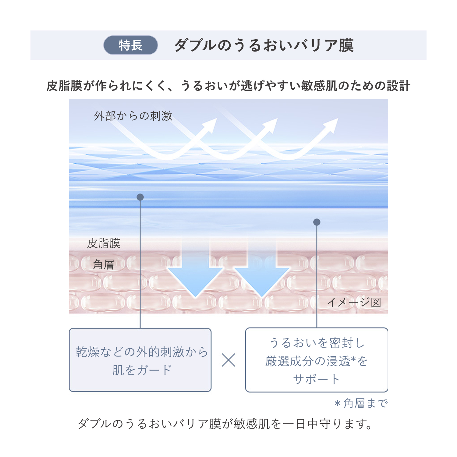 ｄ　プログラム　スキンリペアクリーム　ＥＸ（医薬部外品） image number 6