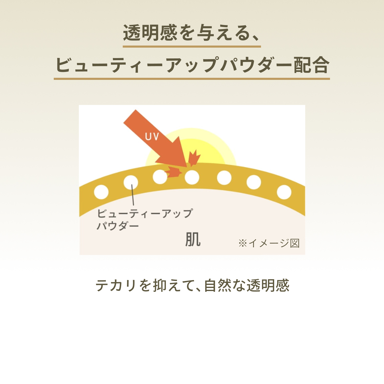 パーフェクトＵＶ　ブラッシュオンパウダー image number 8