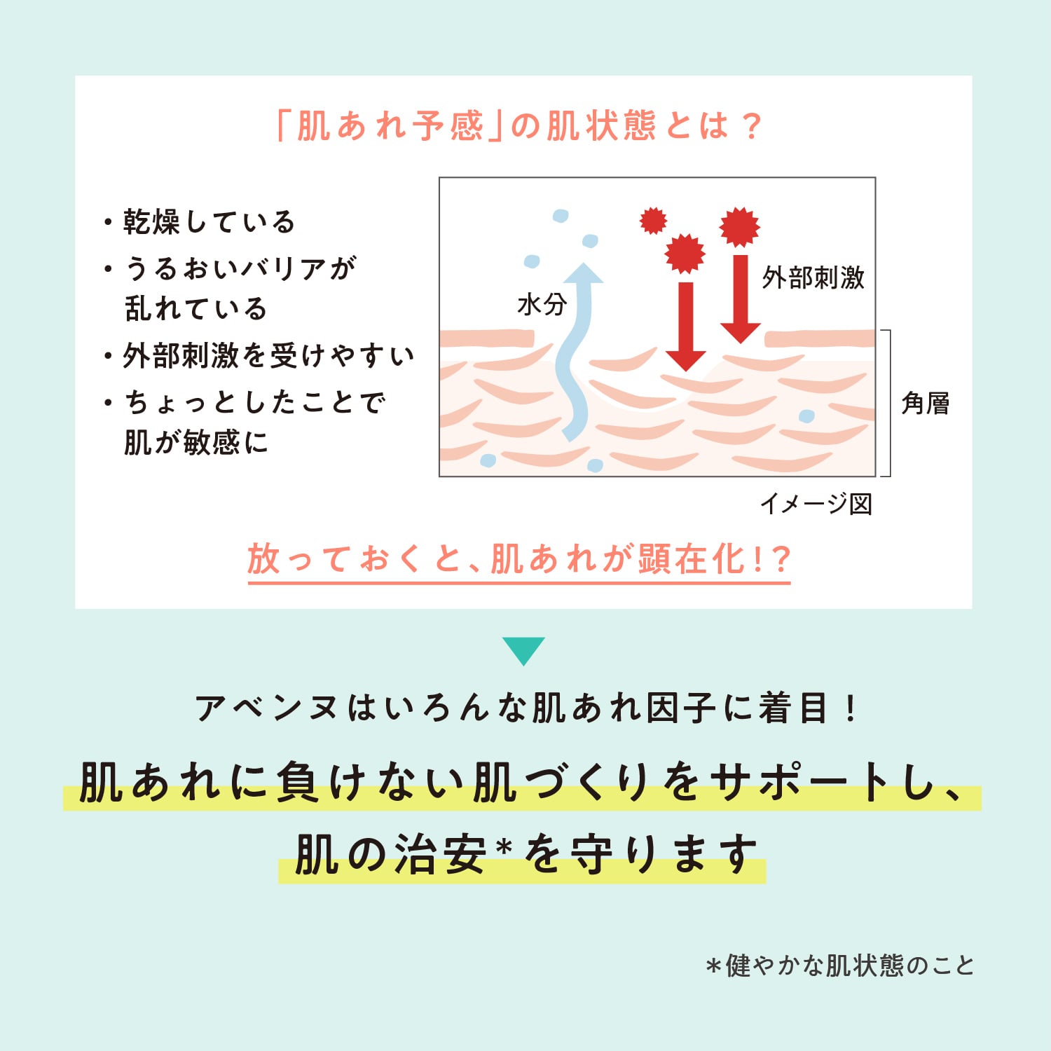 シカルファットプラス　リペアミルク image number 5