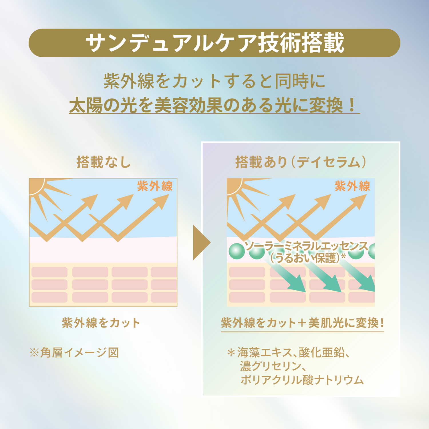 デイセラム　Ｎ（医薬部外品） image number 8