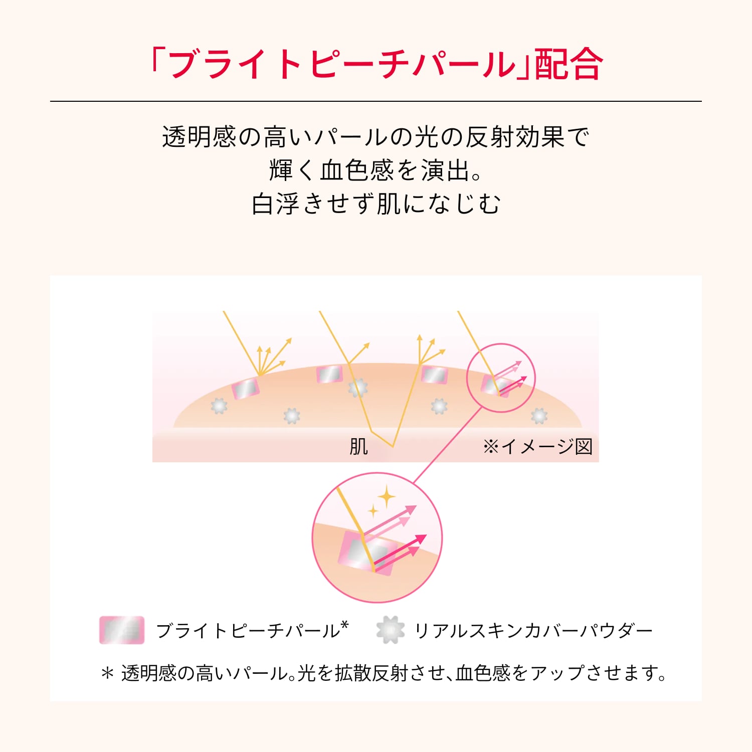 マキアージュ　クッションファンデーション用ケース　ＷＴ image number 7