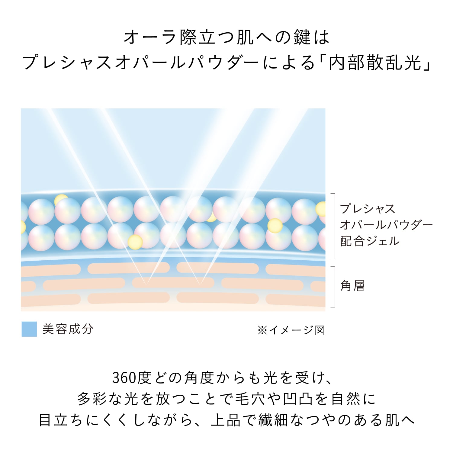 アンベリスールデクラ image number 5