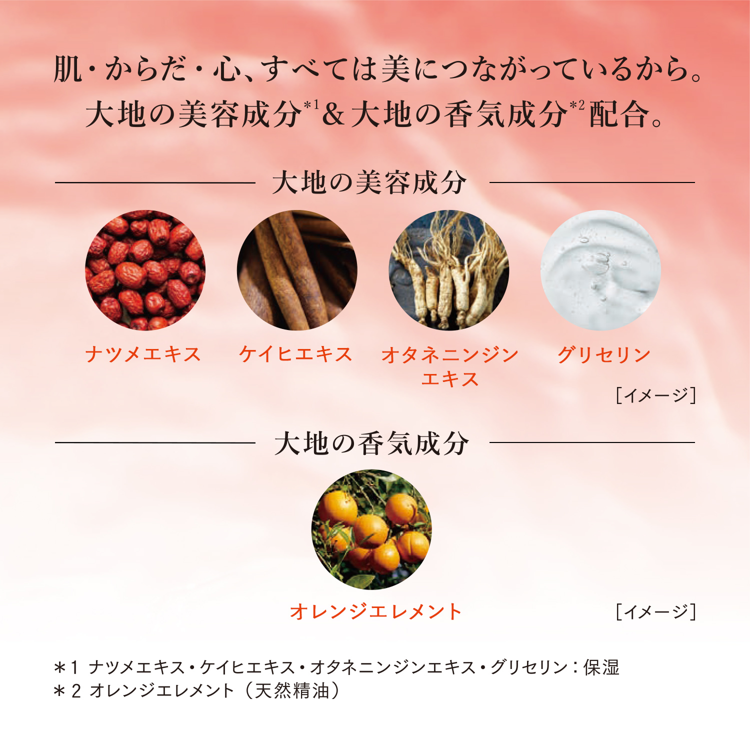 セラム image number 4