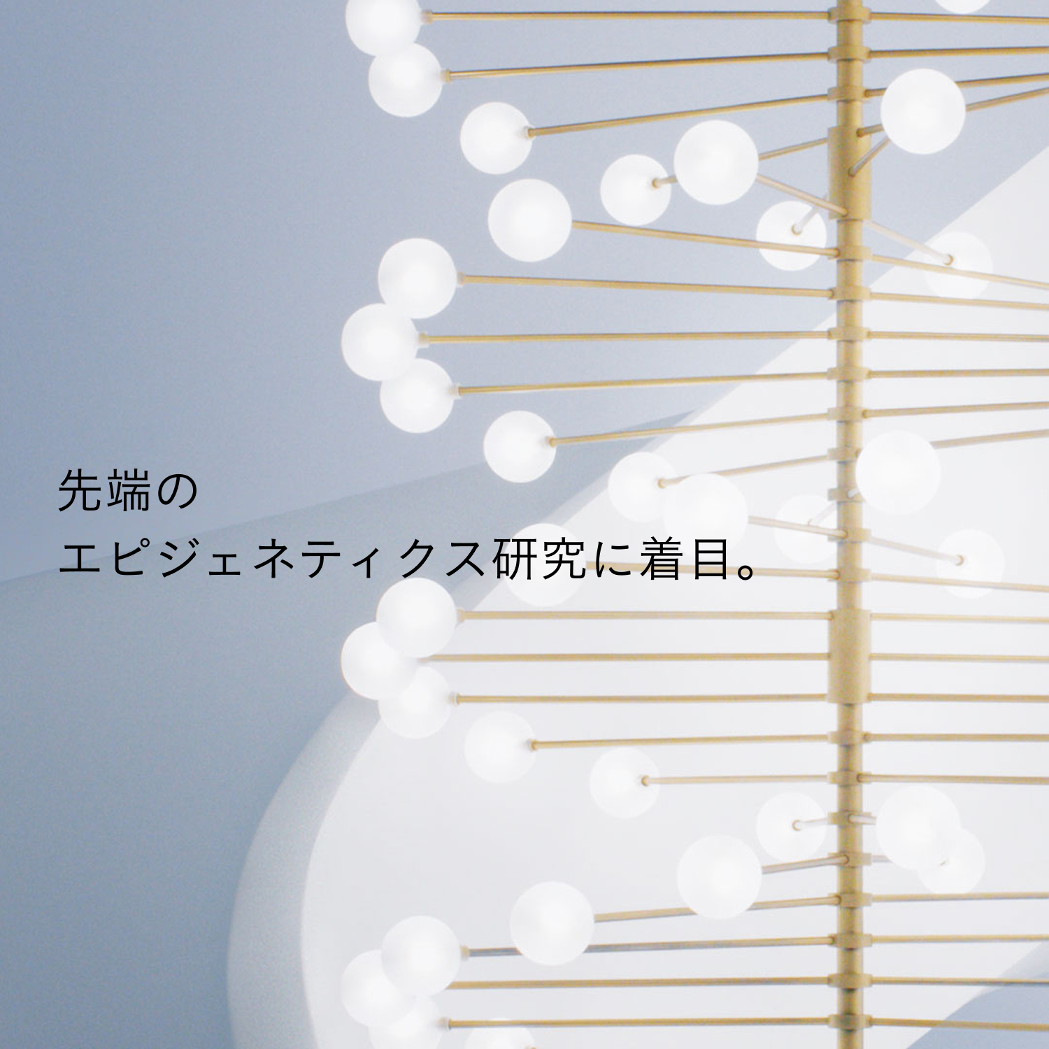 ソワンマスクエクラＳ Ⅱ image number 4