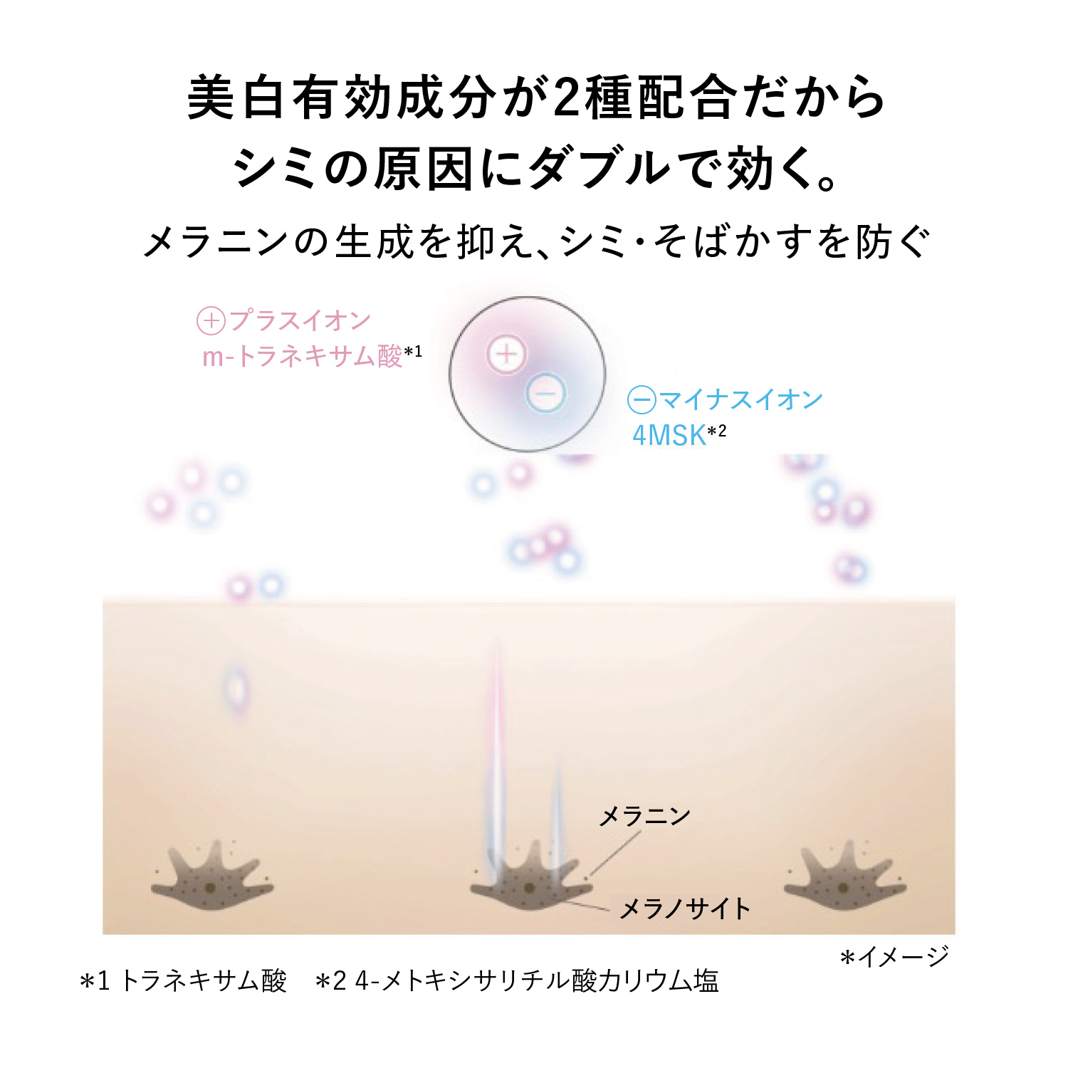 ＨＡＫＵ　メラノフォーカスＩＶ（医薬部外品） image number 9