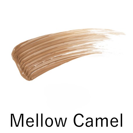 KANEBO　スタイリングアイブロウフィクサー