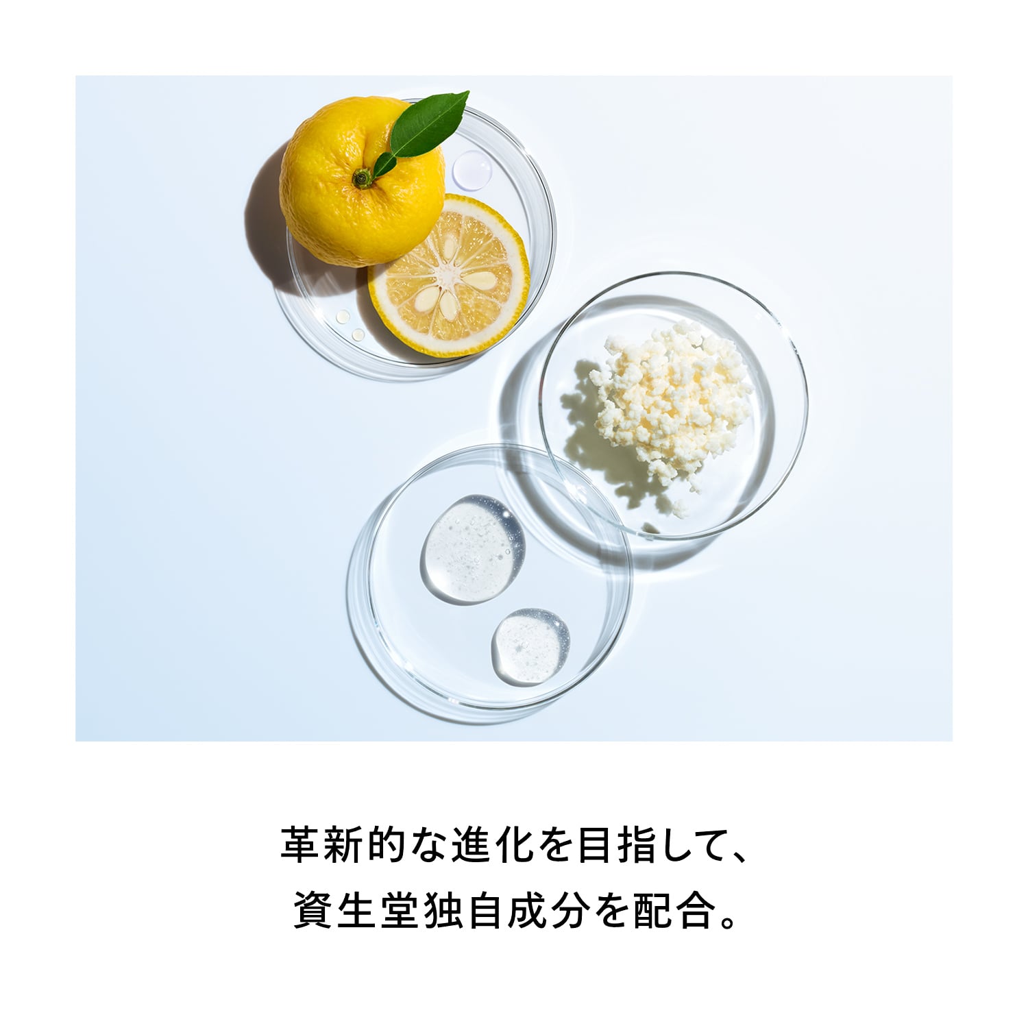 オイデルミン　エッセンスローション（レフィル） image number 5