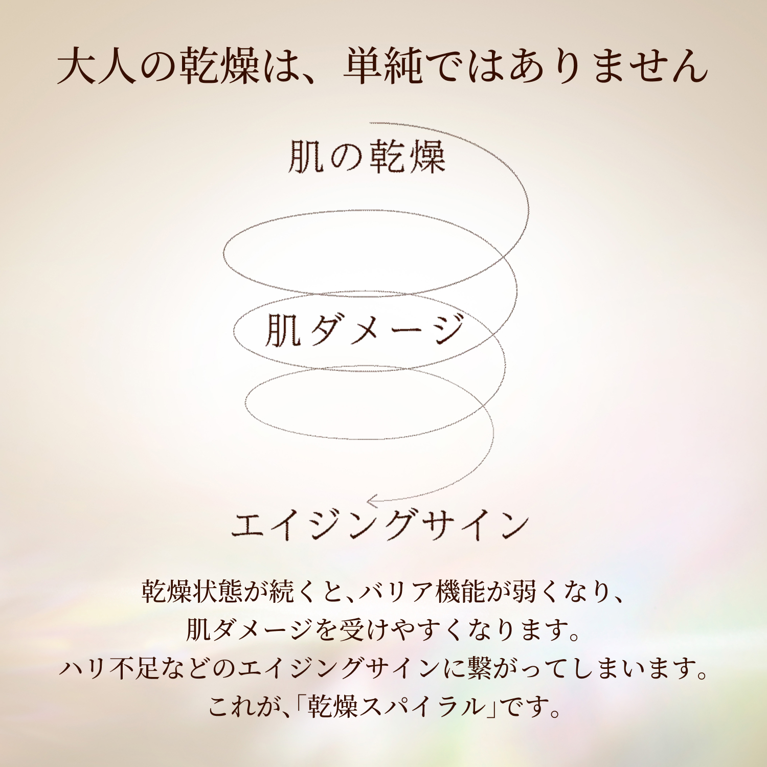 エリクシール シュペリエル　リフトモイスト　ローション　マスク級高保湿　ｃａ（医薬部外品） image number 4