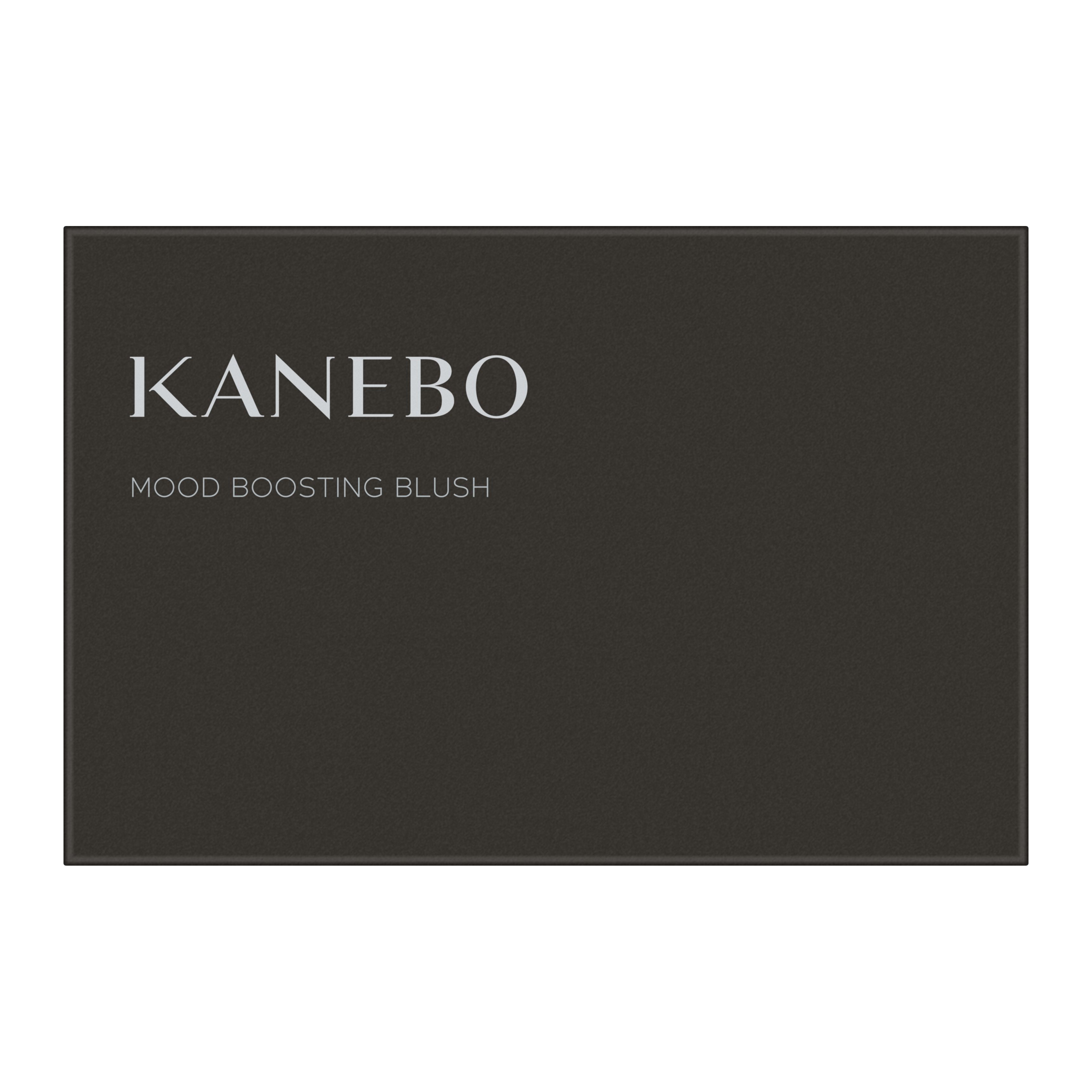 KANEBO　ムードブースティングブラッシュ　０３ Clever Rosewood image number 1