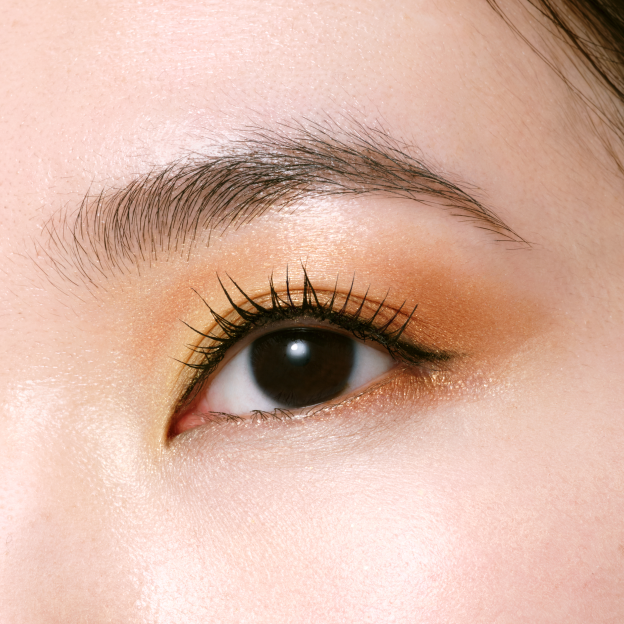 オンブルクルールクアドリ 506 Starry Eyes ＨＯＬＩＤＡＹ 2026 image number 6