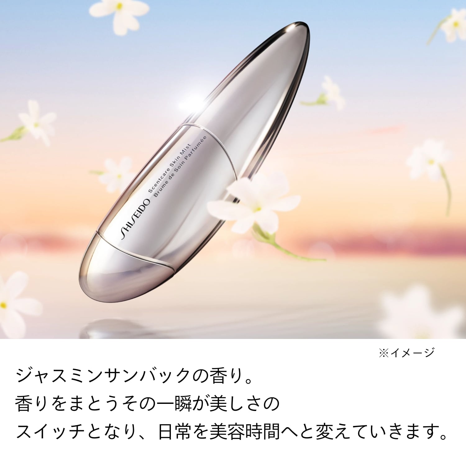 セントケア　スキン　ミスト image number 2