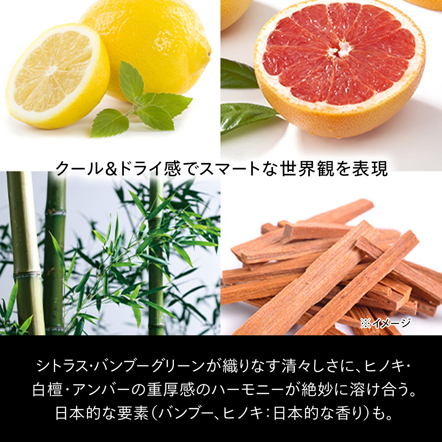 トータルＲ　クリーム　Ｎ image number 7