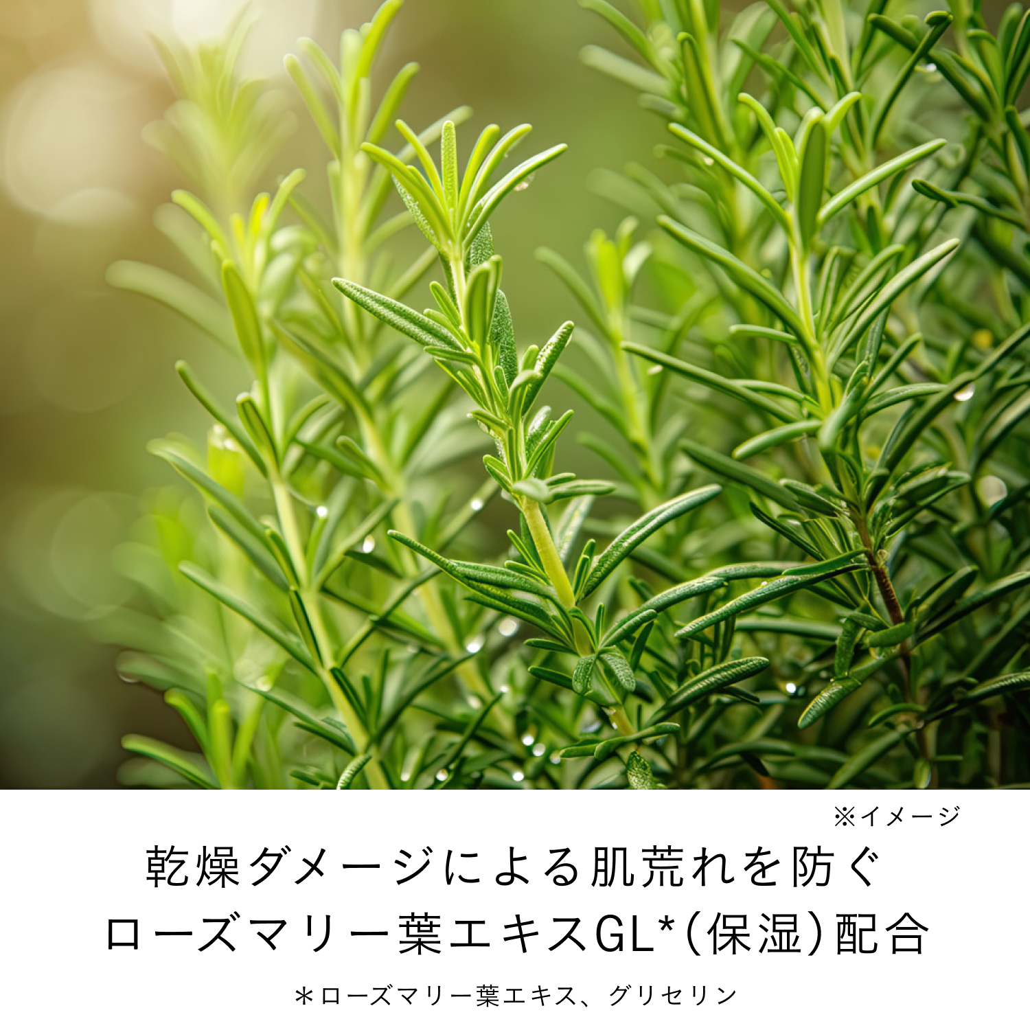 ローションエサンシエルＡ　ミニ image number 6
