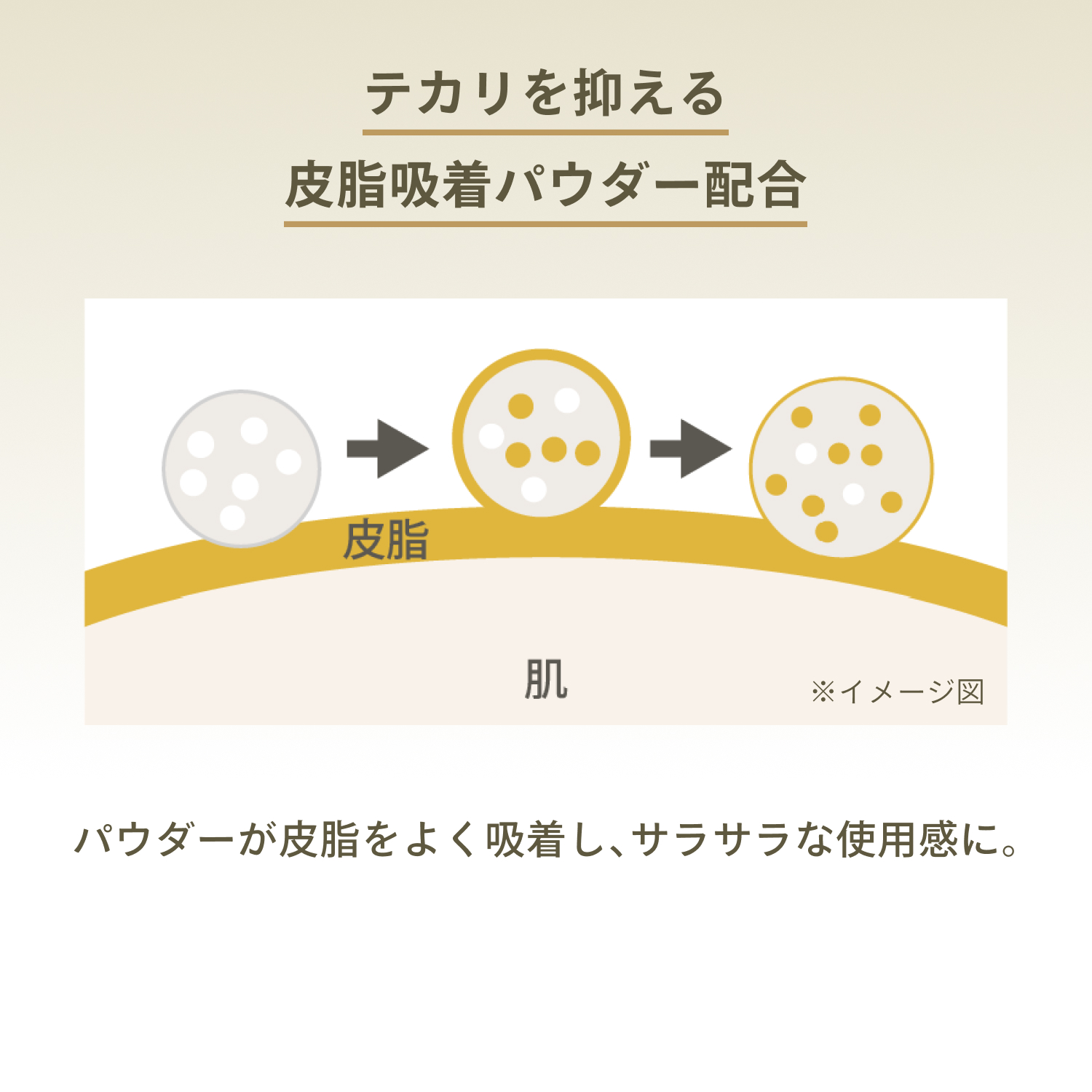 パーフェクトＵＶ　ブラッシュオンパウダー image number 7