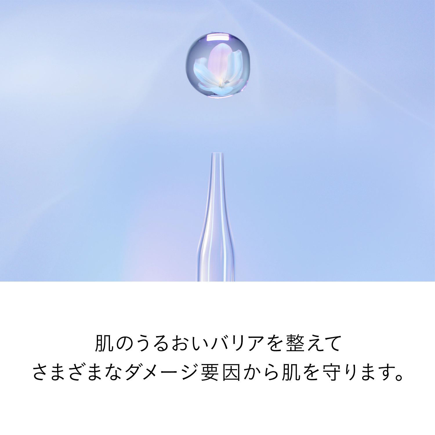 ル・セラムⅡ／ラージ image number 5