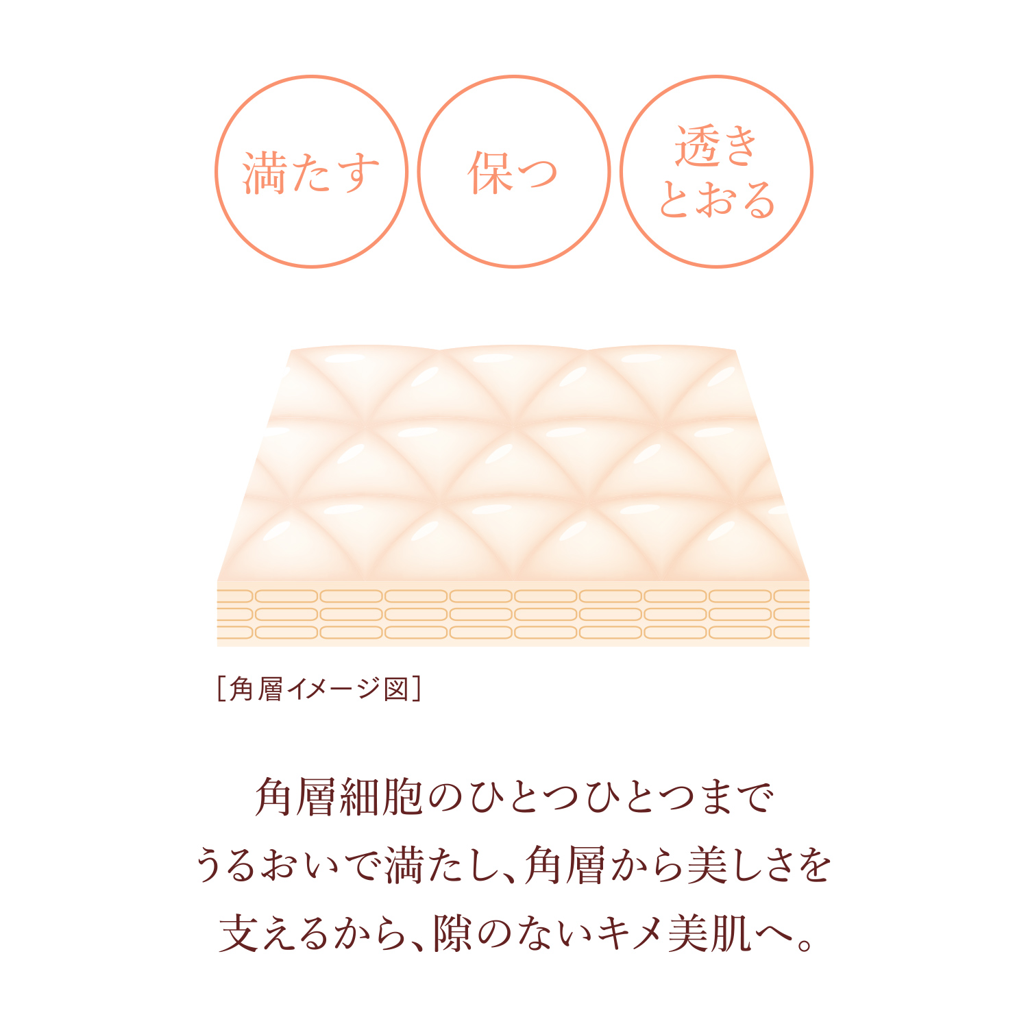 エマルジョン　Ｃ／透明なのに、しっかりうるおう（医薬部外品） image number 5