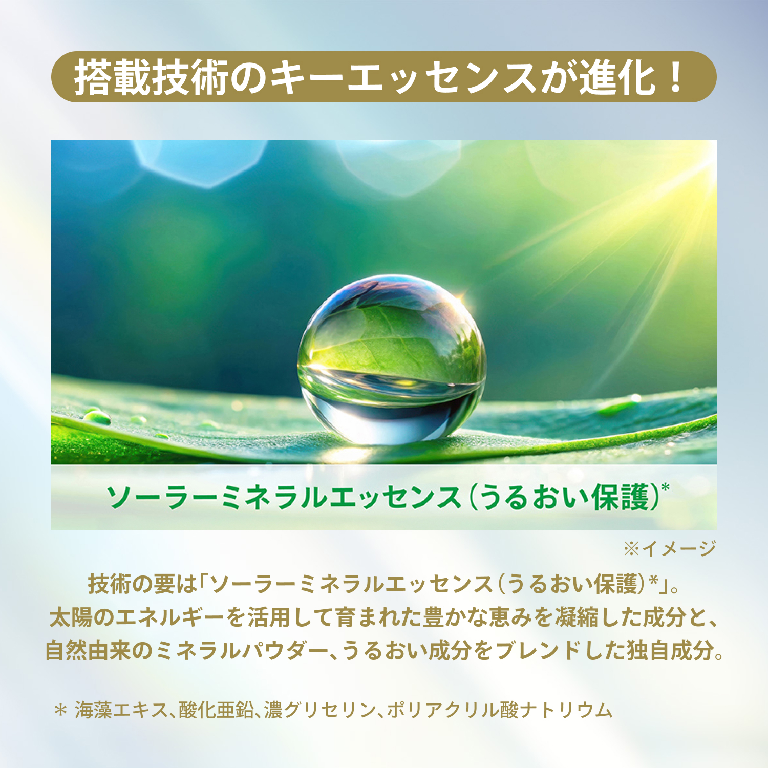 デイセラム　Ｎ（医薬部外品） image number 9