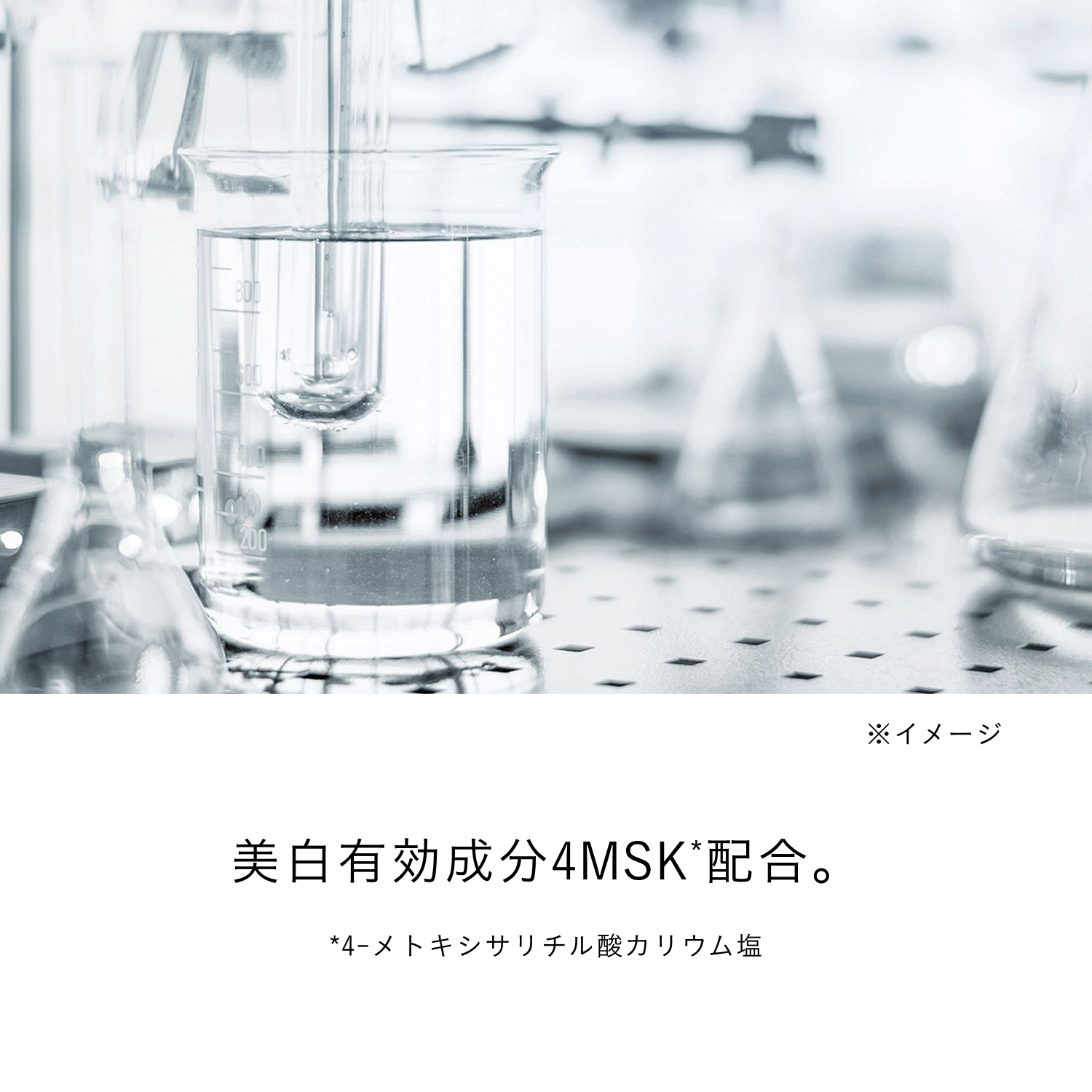 ソワンマスクエクラＳ Ⅱ image number 7